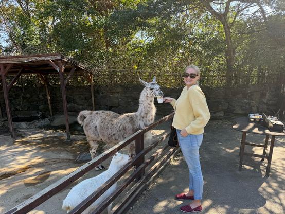 Blonde woman feeding a llama