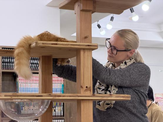 Blonde woman petting an orange cat in a cat tree