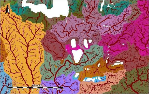Preliminary delineation of local drainage basins within the Inhulets River study area, based on DEM-derived flow accumulation and watershed boundaries.