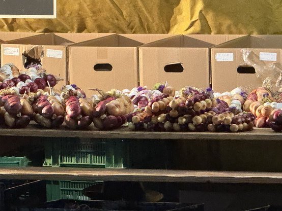 „Zibelezöpf“ am Zibelemärit in Bern.