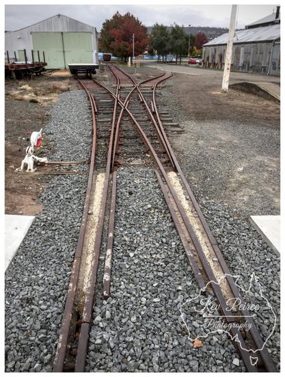 A high angle photo looking down the centre of three rusty, disused railway tracks converging at a switch in a gravel yard.  The two foreground tracks are flanked by concrete slabs. In the background, there is a low, pale green shed on the left, an old carriage on a siding, and trees with red and orange autumn foliage against a hill.