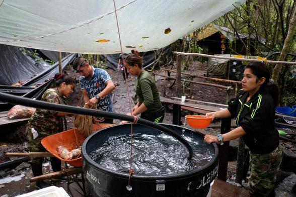 VEREDA LA ELVIRA, COLOMBIA - 17 DE ENERO DE 2017: Guerrilleros de las FARC limpian los restos de una vaca sacrificada previamente para su consumo dentro de un campamento de desmovilización el 17 de enero de 2017 en Vereda La Elvira, Colombia. (Kaveh Kazemi- Getty Images)