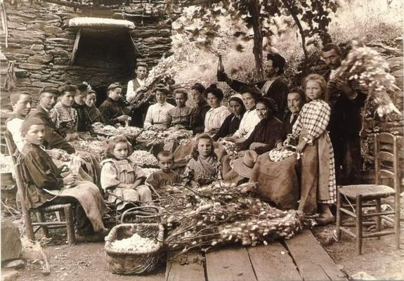 La lavorazione della seta in Sicilia