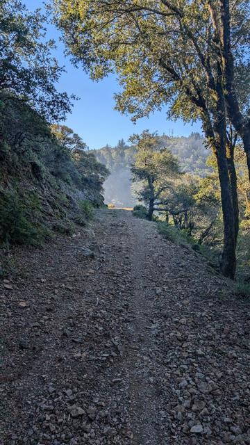 A rocky road, a distant peak, trees