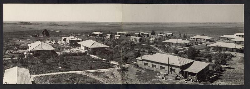 The image shows a black and white panoramic view of the Jewish settlement known as Gath, located near ancient Gath along the east side of Gaza road. The photograph captures numerous single-story houses with gabled roofs, set against an expansive flat landscape that fades into the distance. Sparse trees and vegetation are visible in the background behind the residential section. There is a mix of completed buildings alongside some structures under construction or being refurbished. No people can be seen within this particular shot, but one image captures individuals gathered outside their dwelling on what seems to be a porch area with steps leading up to it. The overall scene depicts an organized community layout in a rural setting during the period between 1934 and 1946.
Reference: Jewish settlement of Gath (near ancient Gath), east of Gaza road [between 1934 and 1946]
Matson Photo Service
2 photographic prints : gelatin silver. | Residential section of Gat settlement, sparse trees and vegetation in background. https://images.loener.nl/g-eric-and-edith-matson-photographs/full/691e/691ec2d0450e57a2674ce27e.jpg
