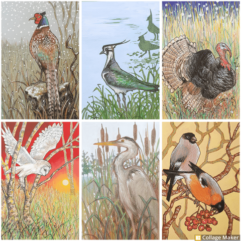 A photo collage of some of my bird art:
All of these are approx 5x7" (to fit a 5x7" photoframe)
A pheasant in winter
a northern lapwing
a wild turkey
a barn owl in flight
a grey heron
bullfinches with rowan berries.
