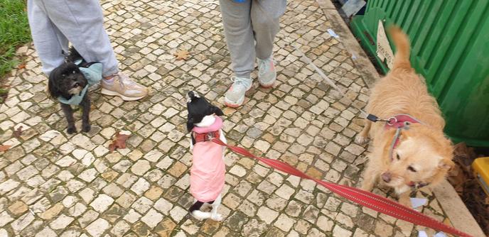 niki meets some friends in the morning