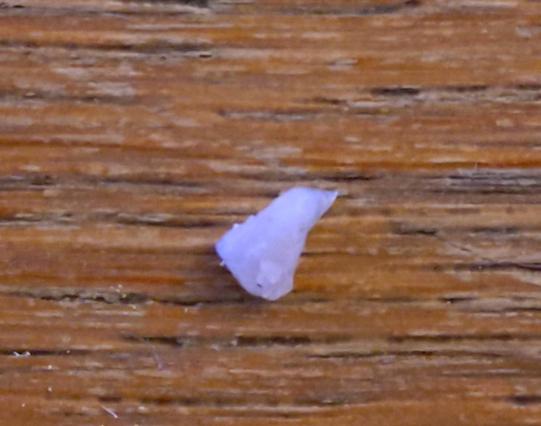 ein sehr spitzes steinchen, das eher aussieht wie eine glasscherbe.