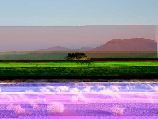 A tree in a desert. the image has been corrupted and appears multi-coloured