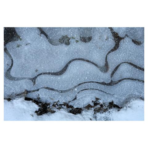 Closeup of frozen water in a ditch besides a forest trail. Some fallen leaves have been encased in the ice, which is showing a wavy pattern.