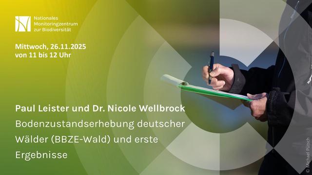 Sharepic mit grünem Hintergrund. Links oben Logo des Nationalen Monitoringszentrums zur Biodiversität. Darunter Text: 'Mittwoch, 26.11.2025 von 11 bis 12 Uhr. Paul Leister und Dr. Nicole Wellbrock, Bodenzustandserhebung deutscher Wälder (BBZE-Wald) und erste Ergebnisse'. Rechts ist eine Person zu sehen, die mit einem Stift auf einem grünen Klemmbrett schreibt.