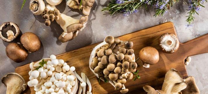 Es tiempo de setas. / Elizabeth Perez Holowaty