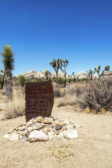 A historical marker along Wall Street Mill Trail in Joshua Tree National Park, commemorating the 1943 shooting of Worth Bagly by W.F. Keys, set against the backdrop of Joshua trees and desert terrain.