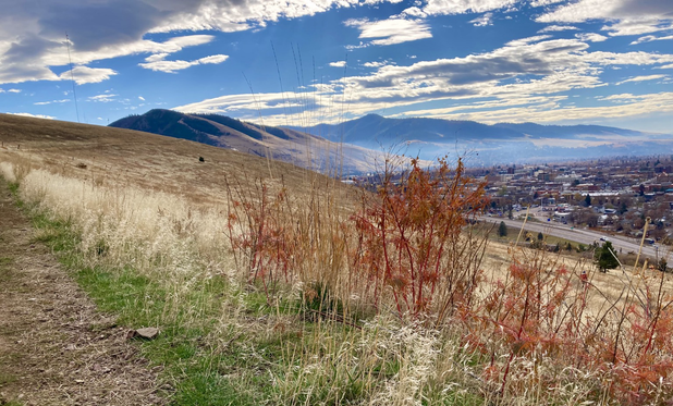 The left edge of the image is a trail. To its right, green grass gives way to golden grass and red brush that descend to a highway on the far right and the city beyond it. In the background are Mount Sentinel to the left and Mount Dean Stanton silhouetted at center, lingering fog beneath it. The sky is mostly cloudy.