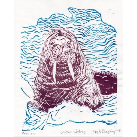 My 8” x 10” linocut print “Winter Walrus” from 2008 shows a large purplish brown walrus emerging from water surrounded by ice printed in blue.The walrus faces the viewer.