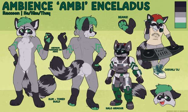 A furry reference sheet showing off the front and back of a grey, emerald green and charcoal raccoon fursona. Tags: Furry, fursona, furryartist, furryfandom