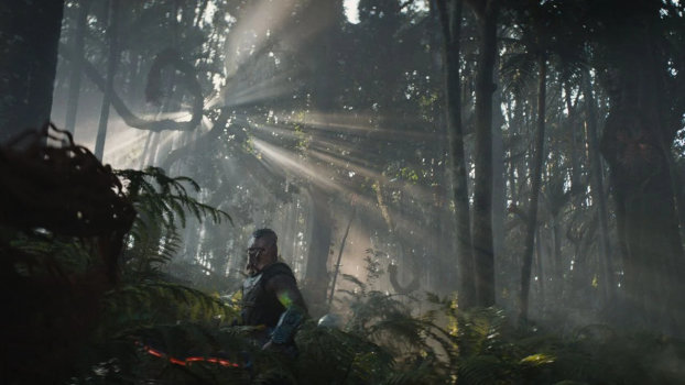 Dek explore la forêt à contre-jour