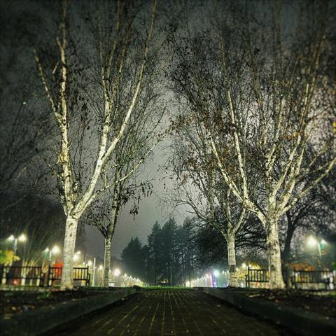A brick path flows straight through a row of trees, revealing a street-lit park lawn against misty trees in the distance.