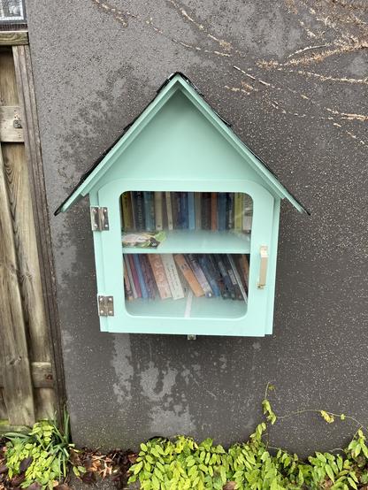 Mintgroene minibieb met schuin dakje en twee rijen boeken