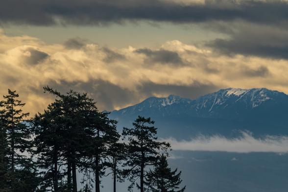Tall evergreen trees in the foreground with towering snow capped mountain range in the distance beneath the clouds.