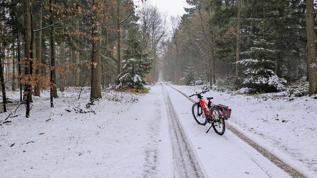Ein rotes Raleigh Dundee MTB steht auf einem verschneiten Waldweg.
