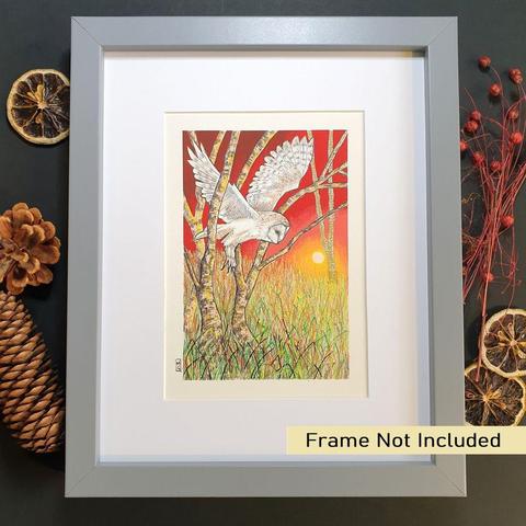 A small colour drawing of a barn owl at sunset, flying through trees, the drawing depicts the owl, grassland and trees with a red sunset sky. The drawing is on white pastel paper.
Barn Owls have some extraordinary adaptations to help them hunt at night, such as silent flight, sensitive hearing and the ability to spot movement in very low light.
An original art work, please note that the frame is not included.
Colour pencil and mixed media on acid free toned artist paper
5 by 7 inches (12.7 by 17.8 cm).