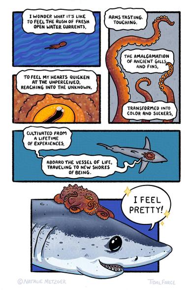 Panel 1: abstract wave background from above looking down on a swimming octopus, "I wonder what it's like to feel the rush of fresh open water currents," Panel 2: closeup of an yellow orange octopus eye, bumpy orange and reddish skin with light spots, "to feel my hearts quicken at the unperceived, reaching into the unknown," Panel 3: three octopus arms reaching up on a gray background, "arms tasting, touching, the amalgamation of ancient gills and fins, transformed into color and suckers," Panel 4: top view of a shark with an octopus on their head, teal blue background, bubbles coming from the octopus, "cultivated from a lifetime of experiences, aboard the vessel of life, traveling to new shores of being." Panel 5: large image of a shark head coming slightly out of the panel boarder with a flattened octopus riding on their head, shark says, "I feel pretty" with sparkles around the speech bubble.