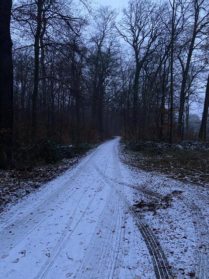 Ein Waldweg im Morgengrauen. Der Weg ist mit einer sehr dünnen aber geschlossenen Schneeschicht bedeckt. Die Bäume ragen kahl in den grauen Himmel. Zwischen den Bäumen liegt nur wenig Schnee.
