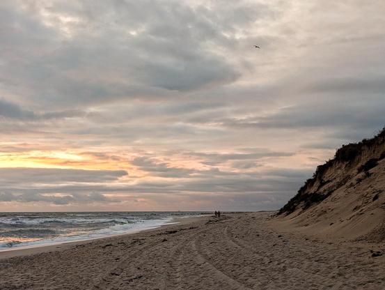 Fotografie einer Strandlandschaft in Abendstimmung. Sand mit Spuren von Menschen und Treckern, bewölkter, dramatischer Himmel auf der linken, Düne auf der rechten Seite. Irgendwo hinten sind zwei Personen, die Seite an Seite spazieren gehen. Ganz oben im Himmel fliegt eine Möwe.
