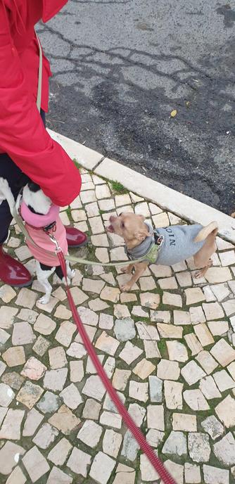 Niki meets nico in a rainy afternoon