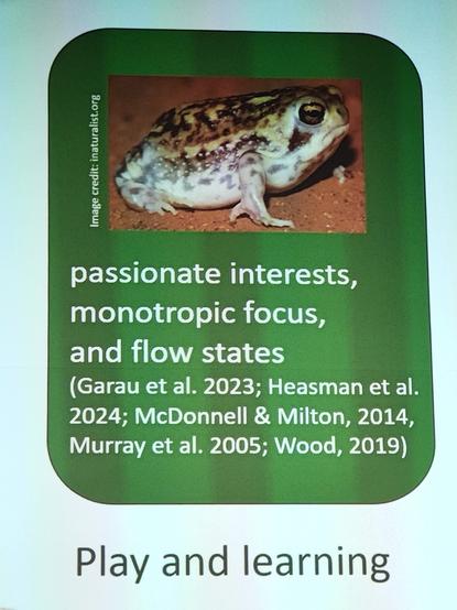 Part of a slide, with a photo of a magnificent rain frog taken from iNaturalist:
passionate interests, monotropic focus, and flow states

(Garau et al. 2023; Heasman et al. 2024; McDonnell & Milton, 2014, Murray et al. 2005; Wood, 2019)

Play and learning