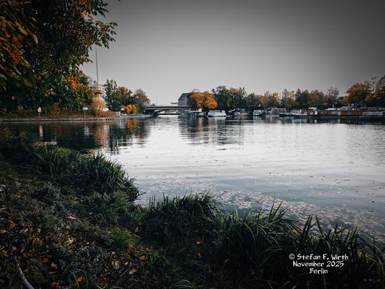 Bank vegetation and boats on the Berlin–Spandau Ship Canal in the Westhafen (west harbor) area of Berlin, October 2025, © Stefan F. Wirth