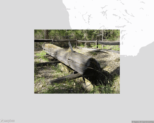 A photo of or from a national park from the linked website, overlaid on a cropped world map where it's located.