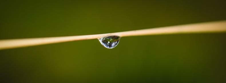 A very wide crop of a single drop of water hanging in the middle of a horizontal straw. the straw leaves the plane of focus making it look wider and blurry towards the edges 

The water drop refracts a forest scene behind, inverted.

The background very blurry and almost, but not quite, uniformly green.