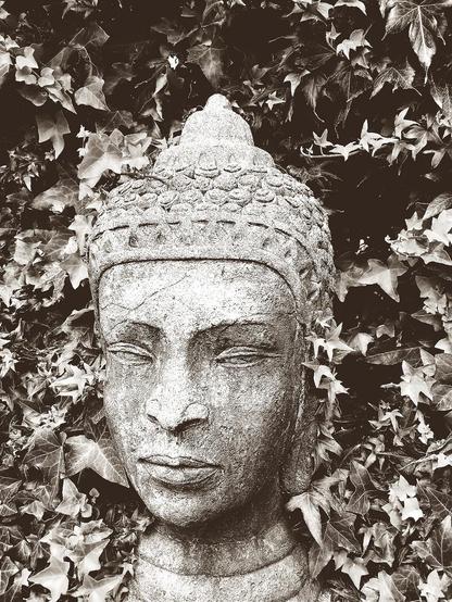 Black and white close-up of a weathered stone Buddha head sculpture surrounded by ivy, with closed eyes, detailed headwear, and serene expression.