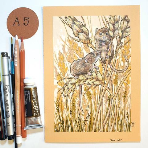 An A5 size drawing of harvest mice in a wheat field. The mice are climbing stalks of wheat. The artwork is in browns, beige and peachy tones. It is on peach toned pastel paper.
Harvest mice are Britain’s smallest rodent, weighing only 4-6 grams. In the British Isles, harvest mice are mainly found south of central Yorkshire, although they do also occur in Scotland and Wales.
An original art work, please note that the frame is not included.
Colour pencil and mixed media on acid free toned artist paper
Size A5 (148 x 210mm / 5.8 x 8.3")