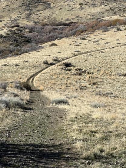 A narrow trail going up a hill covered with golden dry grasses.