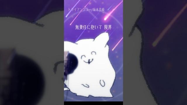 トライアングラー/坂本真綾￤#shorts #歌ってみた #cover