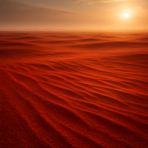 Les enveloppes coquelicots et les grains de sable