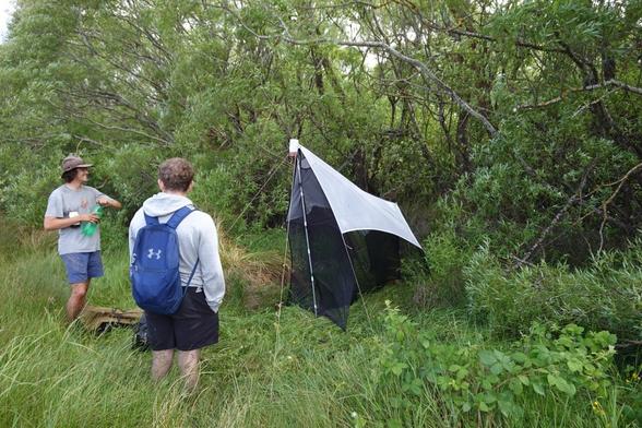 Tommy (left) is doing his Lincoln University Masters research this summer repeating a 1995–1996 invertebrate survey of Travis Wetland, to see how the invertebrate community has changed. Here Tommy and Max are putting in one of a series of Malaise traps to sample flying invertebrates. Malaise traps look like open sided tents. Insects fly in, hit the middle barrier mesh, then fly up to get caught in a cup at the top.

My full-res photo is on Flickr at https://www.flickr.com/photos/mollivan_jon/54945126160