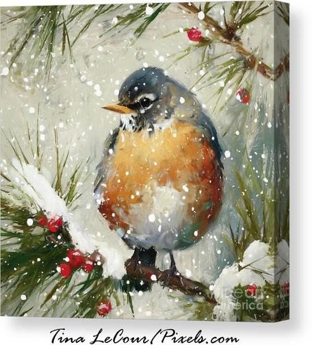 This is a canvas of a pretty American Robin Bird perched in some winter pines covered in snow.