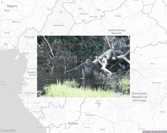 A photo of or from a national park from the linked website, overlaid on a cropped world map where it's located.