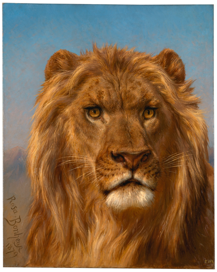 A Realist portrait of a male lion, done in great detail, visible from the shoulders up and almost filling the canvas. He looks steadfast and determined, not at us but somewhere over our right shoulder.