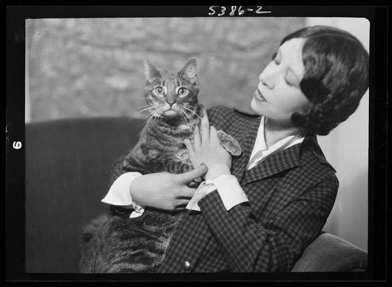 The image is a black and white photograph depicting an Asian woman holding a tabby cat in her arms. The woman appears to be dressed in early 20th-century attire, including a plaid suit jacket with checkered patterns of dark and light squares, which could potentially indicate the fashion style from around that time period.
The composition focuses on this interaction between human and animal as central subjects within an indoor setting; no other people or objects are visible. The cat looks directly at the camera, suggesting it is aware of being photographed, while maintaining a relaxed posture in the woman's arms.
There is text overlaid near the top right corner with "S396-2" written on what seems to be a film reel edge and possibly indicates some form of cataloguing or identification. The bottom left contains another set of characters which could signify more information about this photograph, such as its title or creator's name.
The style is reminiscent of early 1900s photography with its high contrast between light and dark areas, adding to the classic feel of the scene depicted in the image.