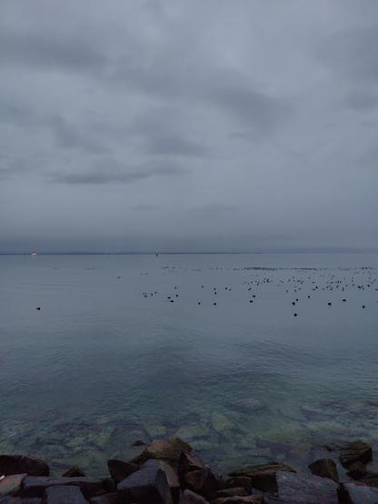 Blick von Romanshorn Hafen Richtung Osten über den Bodensee, graue Wolkendecke, das andere Ufer fast verschwunden, grünlich blaues, ruhiges Wasser, in der Mitte die Leuchtturmdalbe, links ein festlich beleuchtetes Passagierschiff, ein Schwarm Wasservögel rechts auf dem Wasser, im Vordergrund Steinblöcke der Uferbefestigung im klaren Wasser
