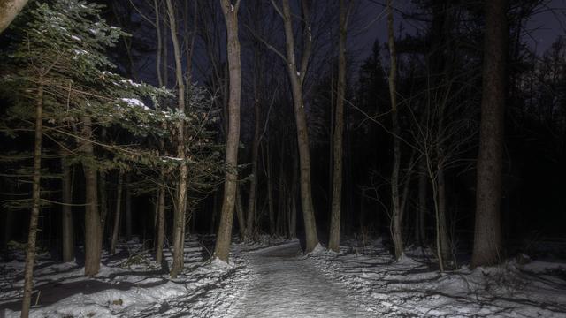 Lampe frontale

L’aurore ne s’annonce pas bruyamment. Elle glisse entre les troncs, effleure les ombres, et attend qu’on l’écoute.