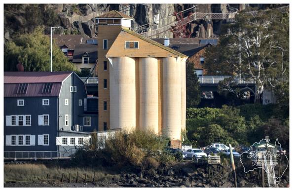 A photograph of the historic silos in Launceston, Tasmania, featuring three prominent cream coloured cylindrical silos topped with a gabled yellow structure.  The silos stand in front of a steep, rocky cliff face with some red stairs visible. To the left is a contrasting large, dark blue multi story building. The foreground shows the rocky riverbank and some foliage.