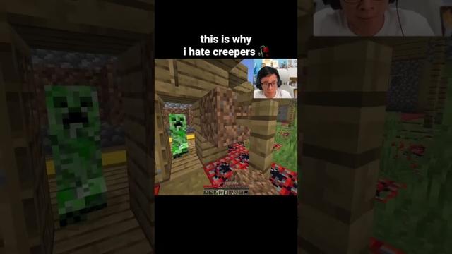 Minecraft Creeper Moment