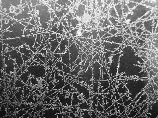 Bw-Bild von Eiskristallen an einer Glasscheibe im Garten