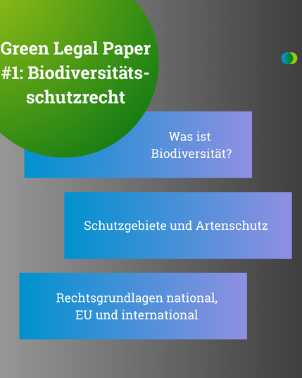 Sharepic zur Bewerbung des Green Legal Papers Nr. 1 zum Biodiversitätsschutzrecht. In blauen Kästen auf hellgrauem Grund steht: Was ist Biodiversität? Schutzgebiete und Artenschutz. Rechtsgrundlagen national, EU und international.